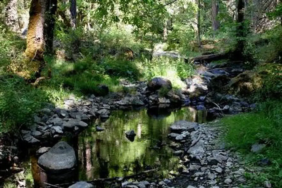 Rogue River-Siskiyou National Forest recreation area