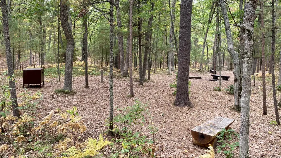 Wooded campsite with benches, food storage locker, and fall leaves in the ground.