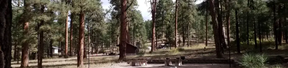 Uphill view of Paliza campground.