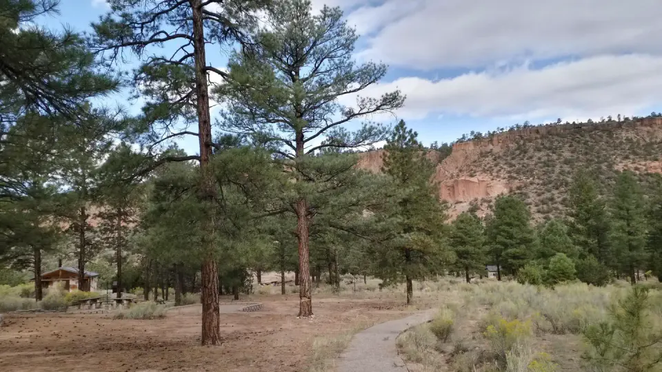 A campground with pines trees near a walkway and mesas in the horizon.