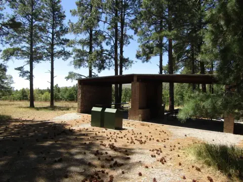 Covered shelters sit surrounded by tall pines