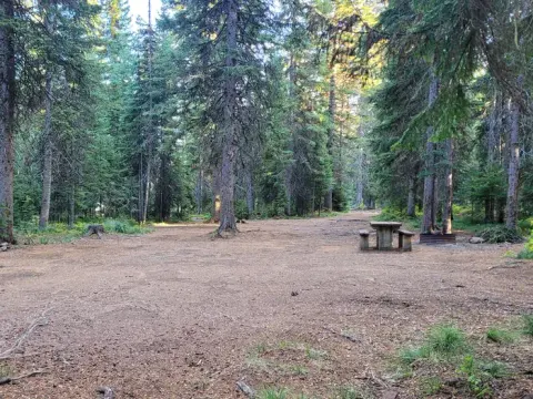 Nez Perce-Clearwater National Forests recreation area