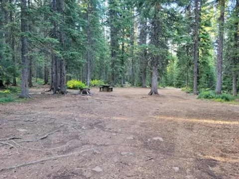 Nez Perce-Clearwater National Forests recreation area