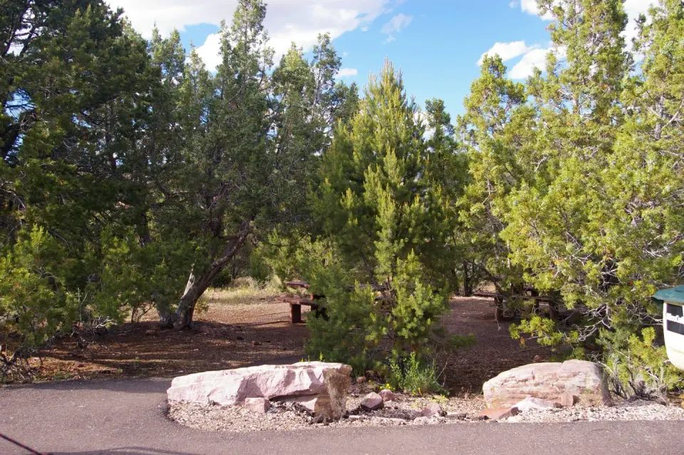 Ashley National Forest recreation area
