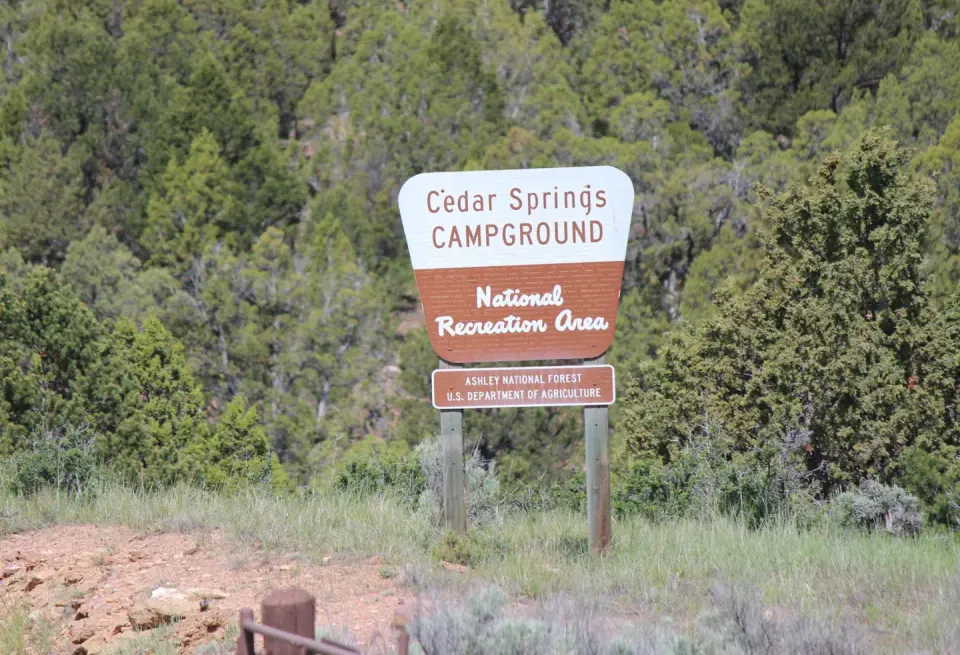 Ashley National Forest recreation area