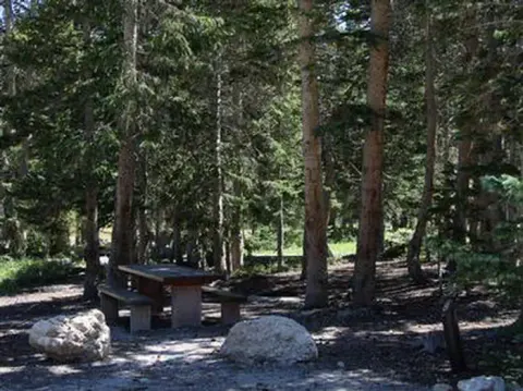 Twelve Mile Flat Campground