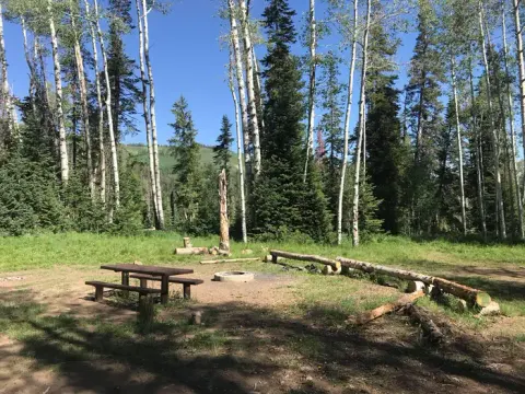 Miller Flat Reservoir Campground Site 4