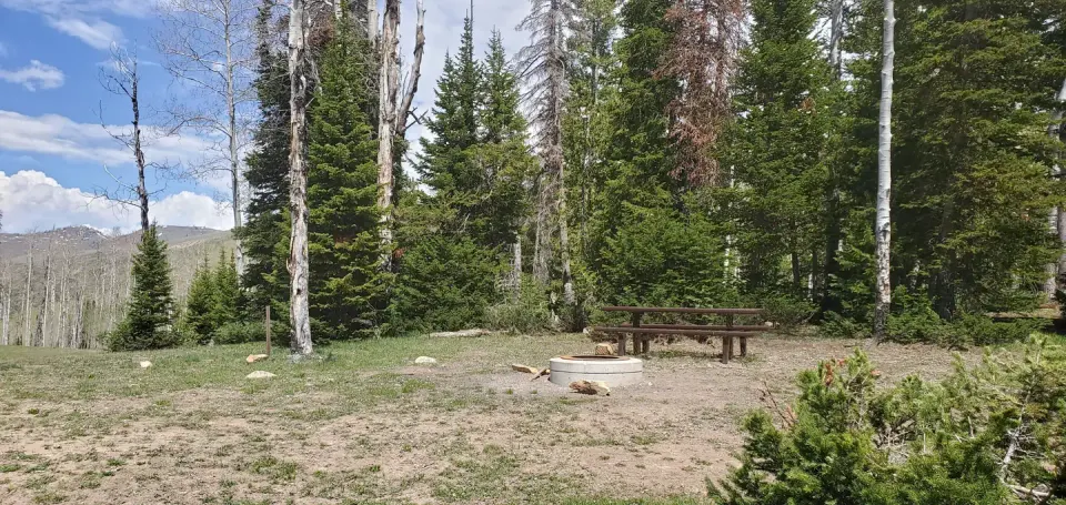 Miller Flat Reservoir Campground Site 2
