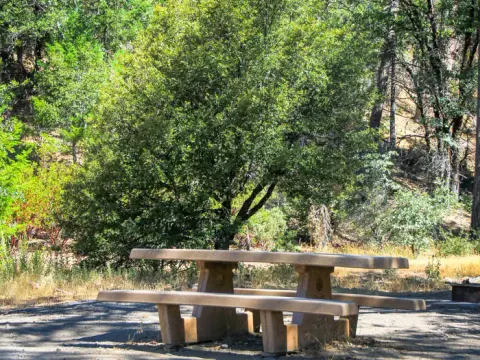 Campsite at Mill Valley Campground
