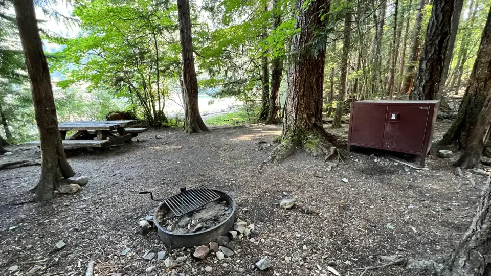 Tent pad, picnic table, fire grate and bear box at campsite.