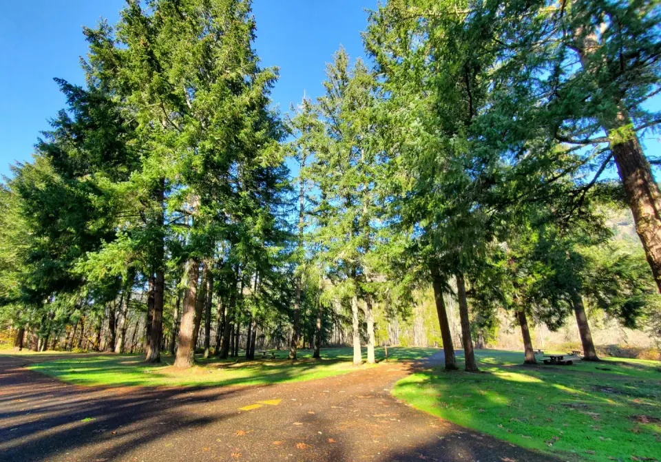 camping loop