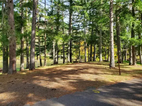 campsite 41