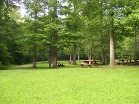 Cherokee National Forest recreation area