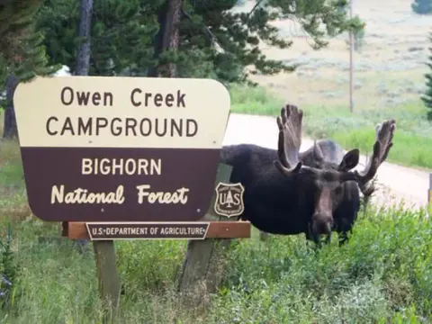 Bighorn National Forest recreation area