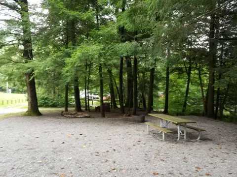 National Forests in North Carolina recreation area