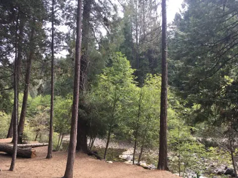 Eldorado National Forest recreation area