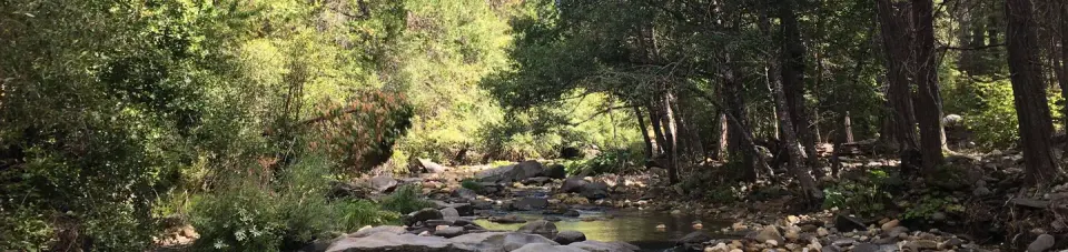 River Access