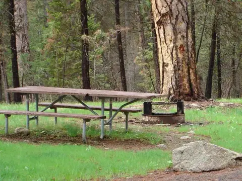 Campsite with picnic table and fire ring