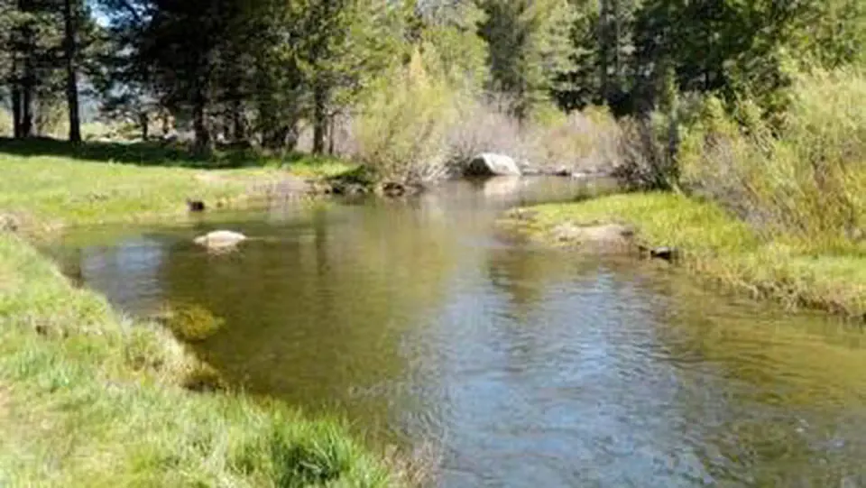 Humboldt-Toiyabe National Forest Headquarters recreation area