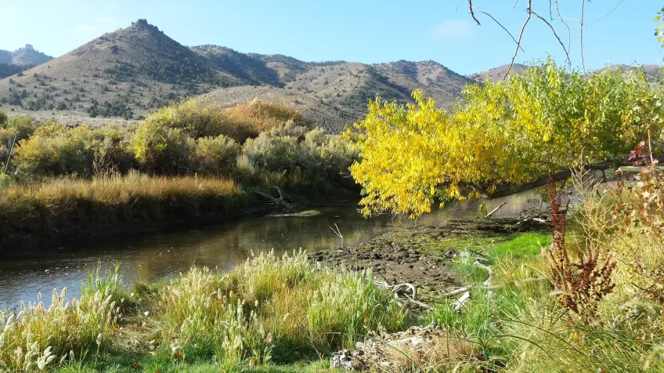 A photo of Beaver River within the Hanging Rock Campground