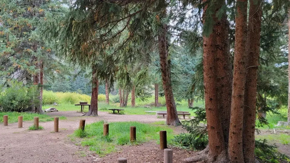Chute Group Site