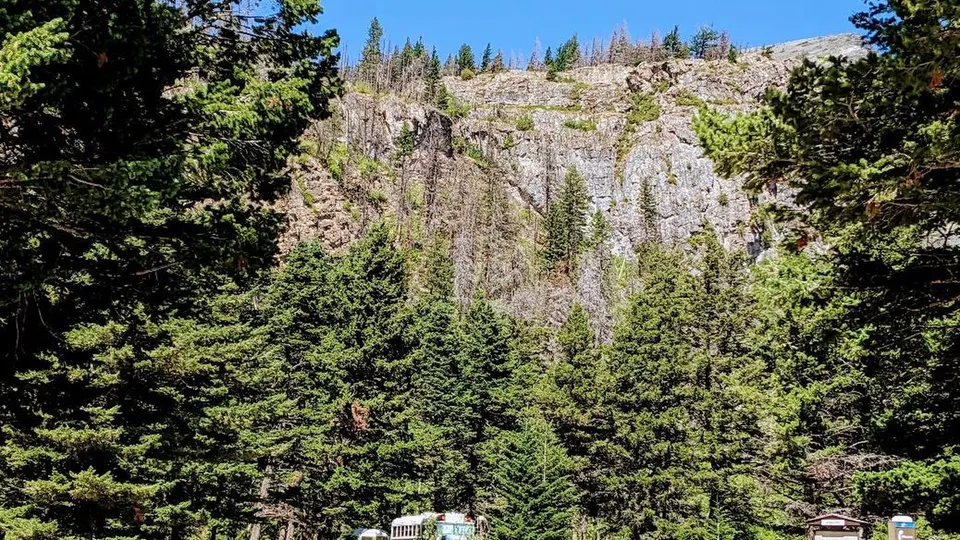 View of a cliffside with trees and shrubs.
