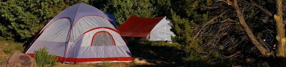 Two tents in a camp site.