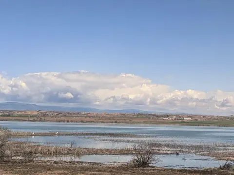 Pelican Lake, Spring