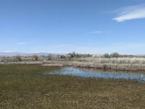 Spring at Pelican Lake