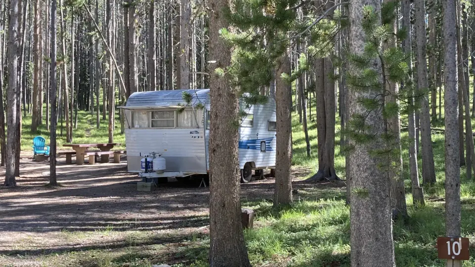 Camper in wooded campsite