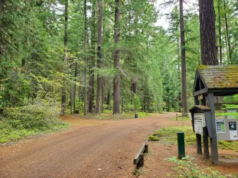 Willamette National Forest recreation area