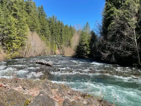 Willamette National Forest recreation area