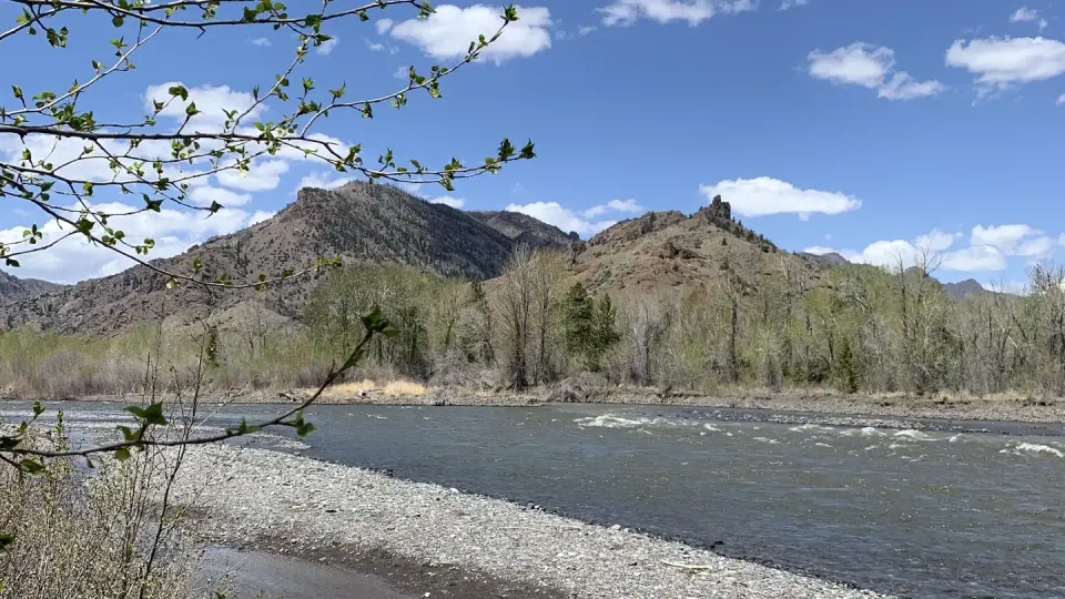 Wapiti Campground, North Fork Shoshone River, mountains in background