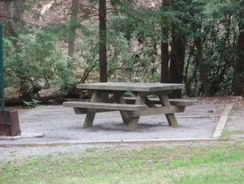 George Washington & Jefferson National Forest recreation area