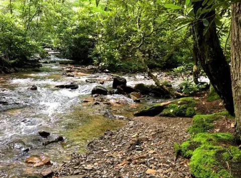 George Washington & Jefferson National Forest recreation area