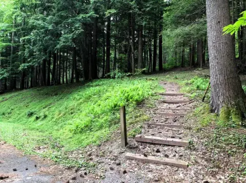 George Washington & Jefferson National Forest recreation area