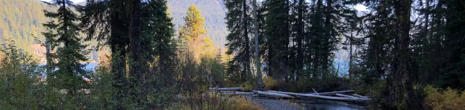 Deschutes National Forest recreation area
