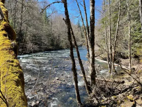 A wide and shallow river with a rocky bottom. Both banks have small overhanging trees.