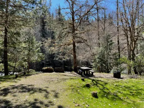 A grassy campsite with a wooden picnic table and a metal fire ring. The site is on the bank of a river and has a large tree near the table.