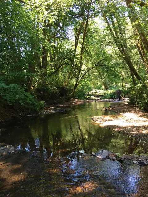 Whittaker Creek