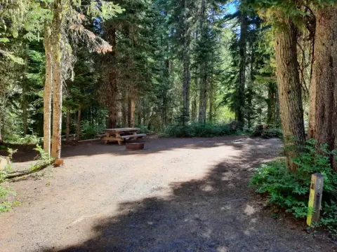 Gifford Pinchot National Forest recreation area
