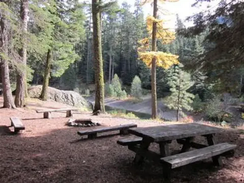 Picnic table in front of campfire ring and benches on a slope overlooking a forested backdrop.
