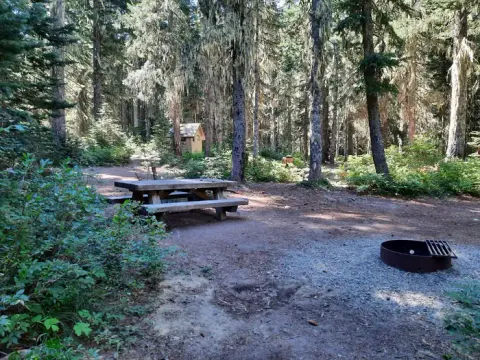 Gifford Pinchot National Forest recreation area
