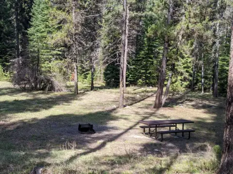 Campsite in forest clearing with picnic table and fire ring.