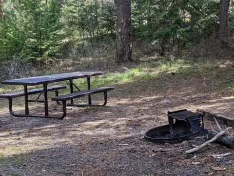 Poverty Flat campsite in a forested setting with picnic table and fire pit.