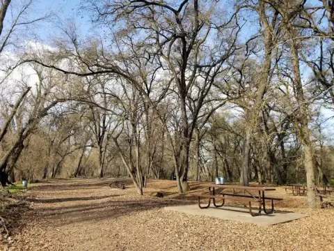 Valley Oak Campground