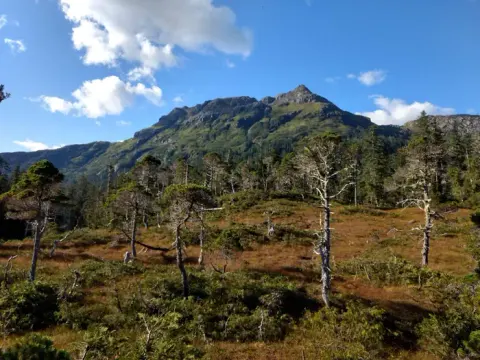 Tongass National Forest recreation area