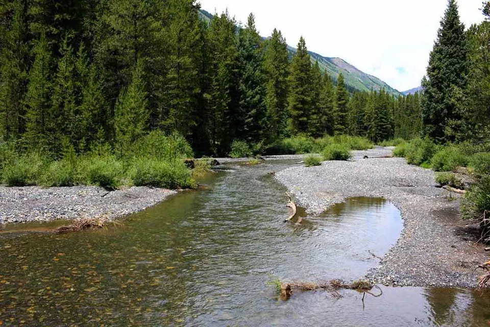 slate river, pebble beaches, surrounded by pine forest, mountain view in background