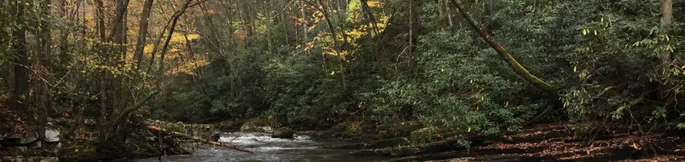 Cherokee National Forest recreation area