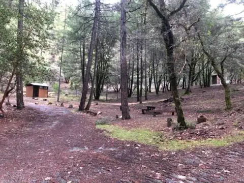 Shasta-Trinity National Forest recreation area
